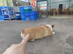 -鹿福农庄(南沙天后宫店)