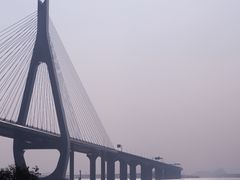 -芒洲湿地公园