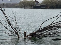 -济南国际园博园