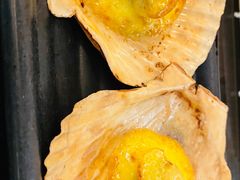 -科尔海悦酒店樱之河日本料理(清河东路店)