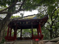-乌山风景区