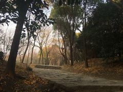 -蠡湖大桥公园