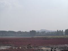 -辽宁团山国家级海洋公园