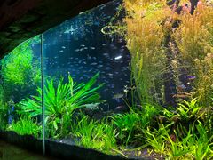 -上海海洋水族馆