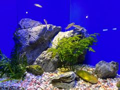 -上海海洋水族馆