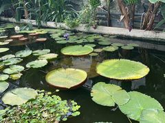 -国家植物园南园