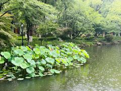 -浙江西子宾馆·瑶园咖啡厅