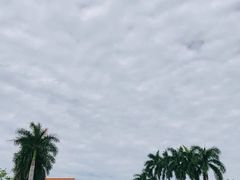 -三亚海棠湾万丽度假酒店