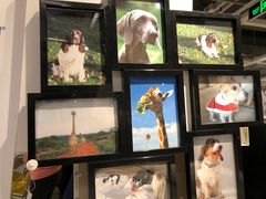 -宜家家居(哈尔滨商场店)