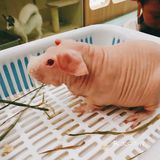 萌化宝宝们的小动物一定要来看看啊[加油]