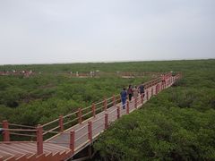 -北海金海湾红树林生态旅游区