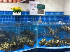 水产区-七鲜超市(通州ONE店)