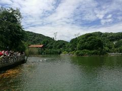 -广州市帽峰山景区