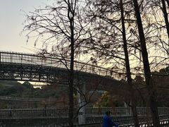 -福道