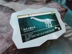 -安徽省地质博物馆