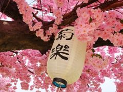 -桂溪生态公园