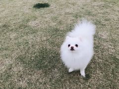 -栖露营camping·天幕烧烤·团建拓展·采摘营地