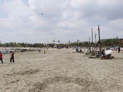 -九龙湖公园