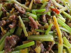 -铁山坪森林公园