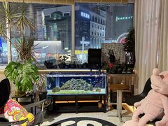 -MONANA蛋糕研究所