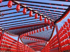 -北京凤凰岭