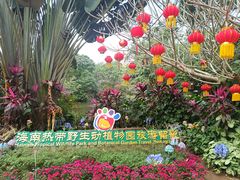 -海南热带野生动植物园