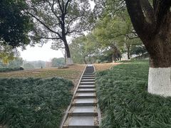 -浙江大学(玉泉校区)