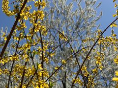 -永定河休闲森林公园