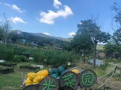 -石塘人家