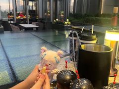 -四季酒店·空中花园 Aria on 9