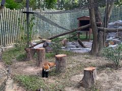 -深圳野生动物园