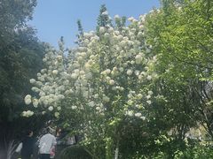 -桐乡植物园
