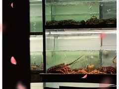 -甄御•海鲜新青岛菜(麦岛店)