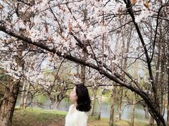 -贵阳市花溪国家城市湿地公园