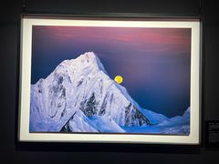 -罗红摄影艺术馆