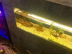 -咕嘟草帽鱼·牛奶一样的鲜鱼汤(包河万达广场创始店)