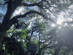 -人民公园(罗湖区)