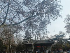 -莲湖公园