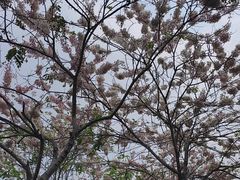 -四海公园(南山区)