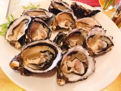 -咖啡苑 - 蔚藍夏日限定主题(永利皇宫店)