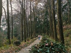 -南岳衡山风景名胜区