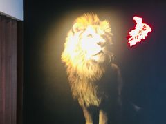 门面-老鼎旺安格斯牛肉火锅(衡艺广场店)