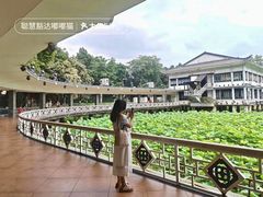 -荔湾湖公园
