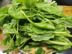 豌豆尖-大龙火锅(老店)