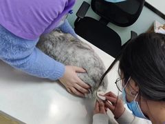 -中农大我爱我爱动物医院·核磁CT·猫病·24小时夜诊中心(石佛营店)