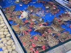 -川骄海鲜自助(河东店)