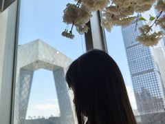 -翡翠江南(国贸商城店)
