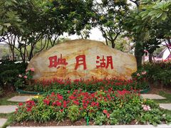 -映月湖公园