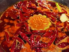 -大龙燚·旷野鲜火锅(广州首店)