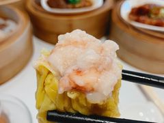 -春满园·早茶·粤菜·宴会(前海店)